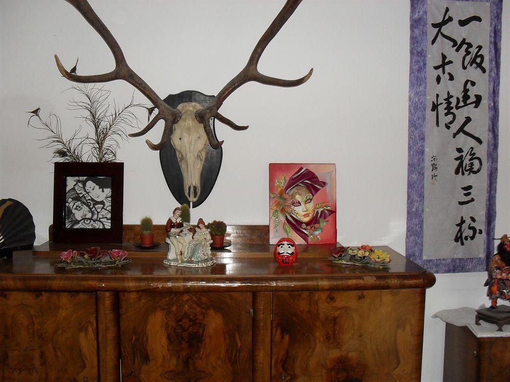 Guest house Casa Samurai Brasov